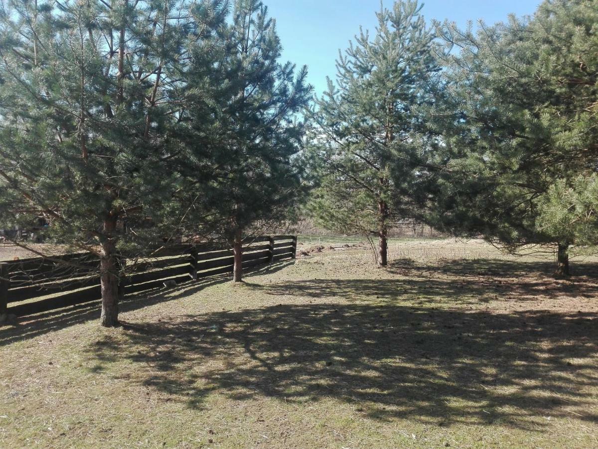 Summerland Tinuzi Exterior photo